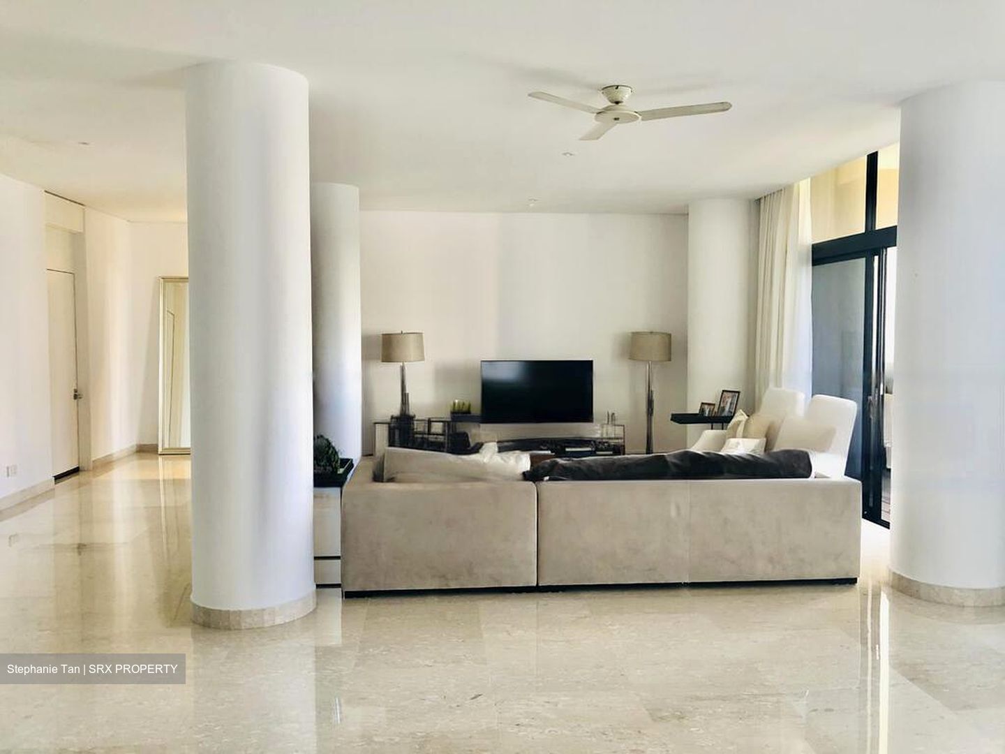 The Colonnade (D10), Condominium #496316991
